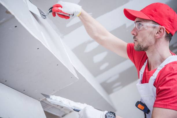 Best Dehumidification Services  in Fort Defiance, AZ