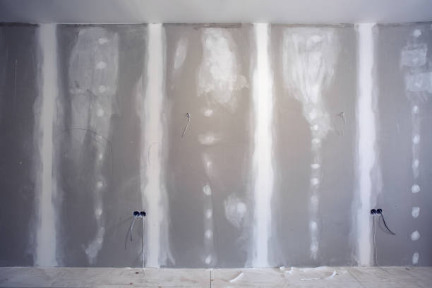 Best Water Damage & Mold Remediation  in Fort Defiance, AZ